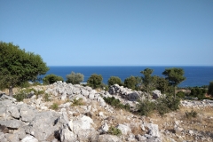 IMG_20200821_172218045